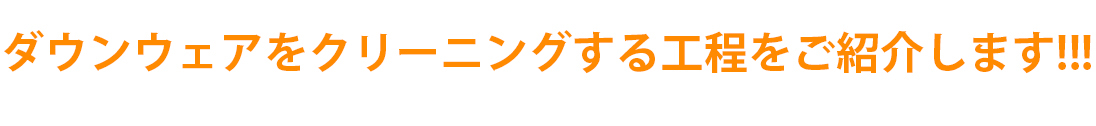 ダウンウェアクリーニング