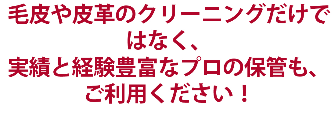 動画でも公開中